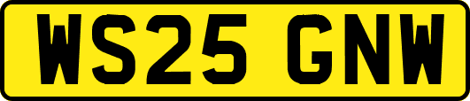 WS25GNW