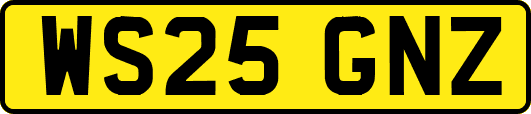 WS25GNZ