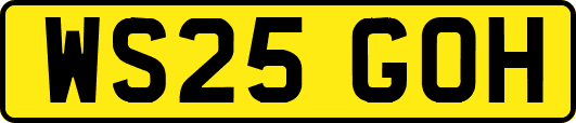 WS25GOH