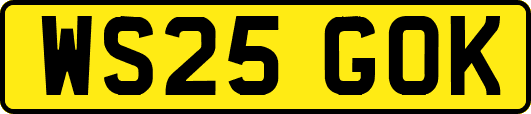 WS25GOK