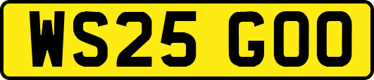 WS25GOO