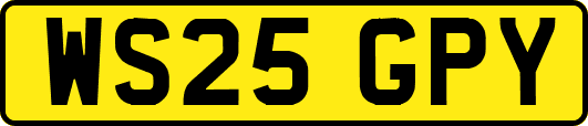 WS25GPY