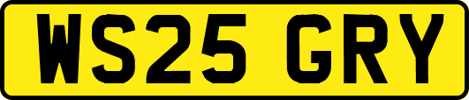WS25GRY