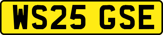 WS25GSE