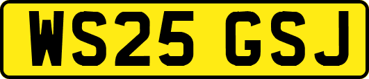 WS25GSJ