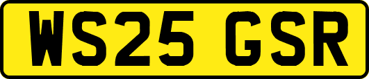 WS25GSR