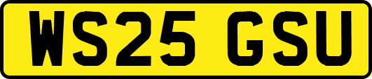 WS25GSU