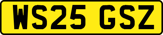 WS25GSZ