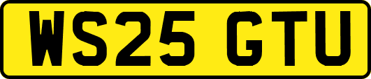 WS25GTU