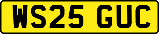 WS25GUC