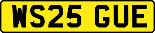 WS25GUE
