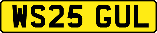 WS25GUL