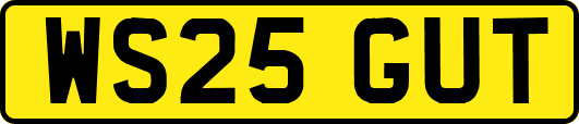WS25GUT