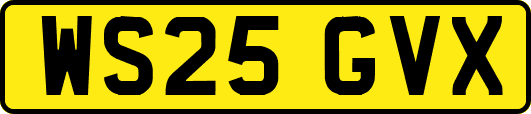 WS25GVX