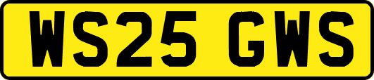 WS25GWS