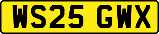 WS25GWX