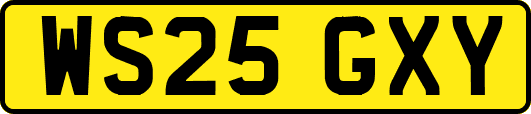 WS25GXY
