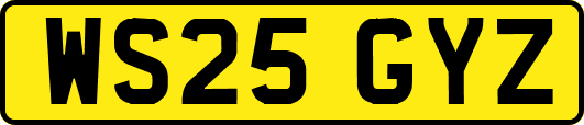WS25GYZ