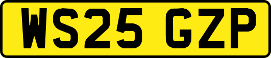WS25GZP
