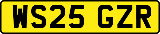 WS25GZR