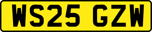 WS25GZW