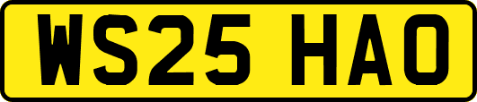 WS25HAO