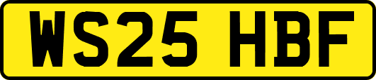 WS25HBF