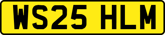 WS25HLM