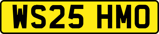 WS25HMO
