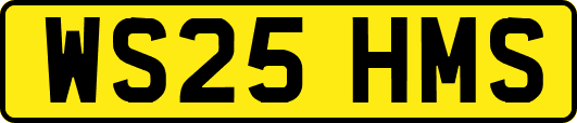 WS25HMS