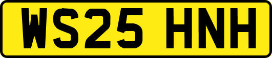 WS25HNH