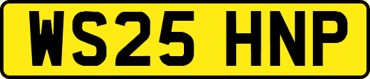 WS25HNP