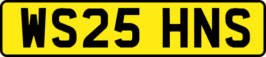 WS25HNS