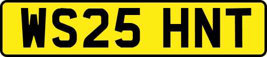 WS25HNT