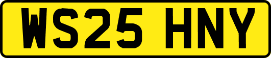 WS25HNY