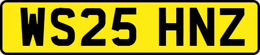 WS25HNZ