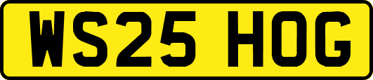 WS25HOG