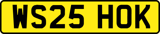 WS25HOK