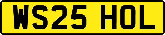 WS25HOL