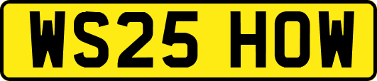 WS25HOW