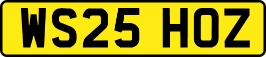 WS25HOZ