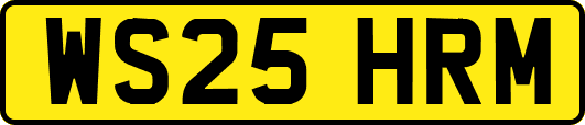 WS25HRM