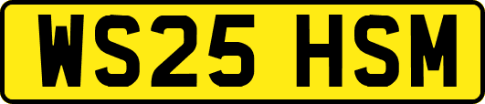 WS25HSM