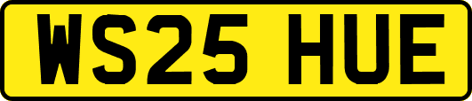 WS25HUE