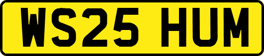 WS25HUM