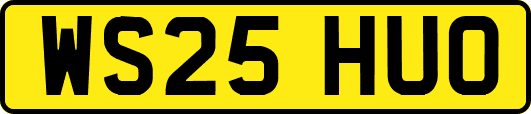 WS25HUO