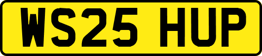 WS25HUP