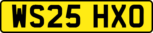 WS25HXO