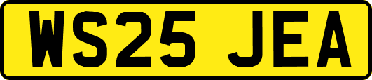 WS25JEA