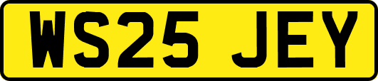 WS25JEY